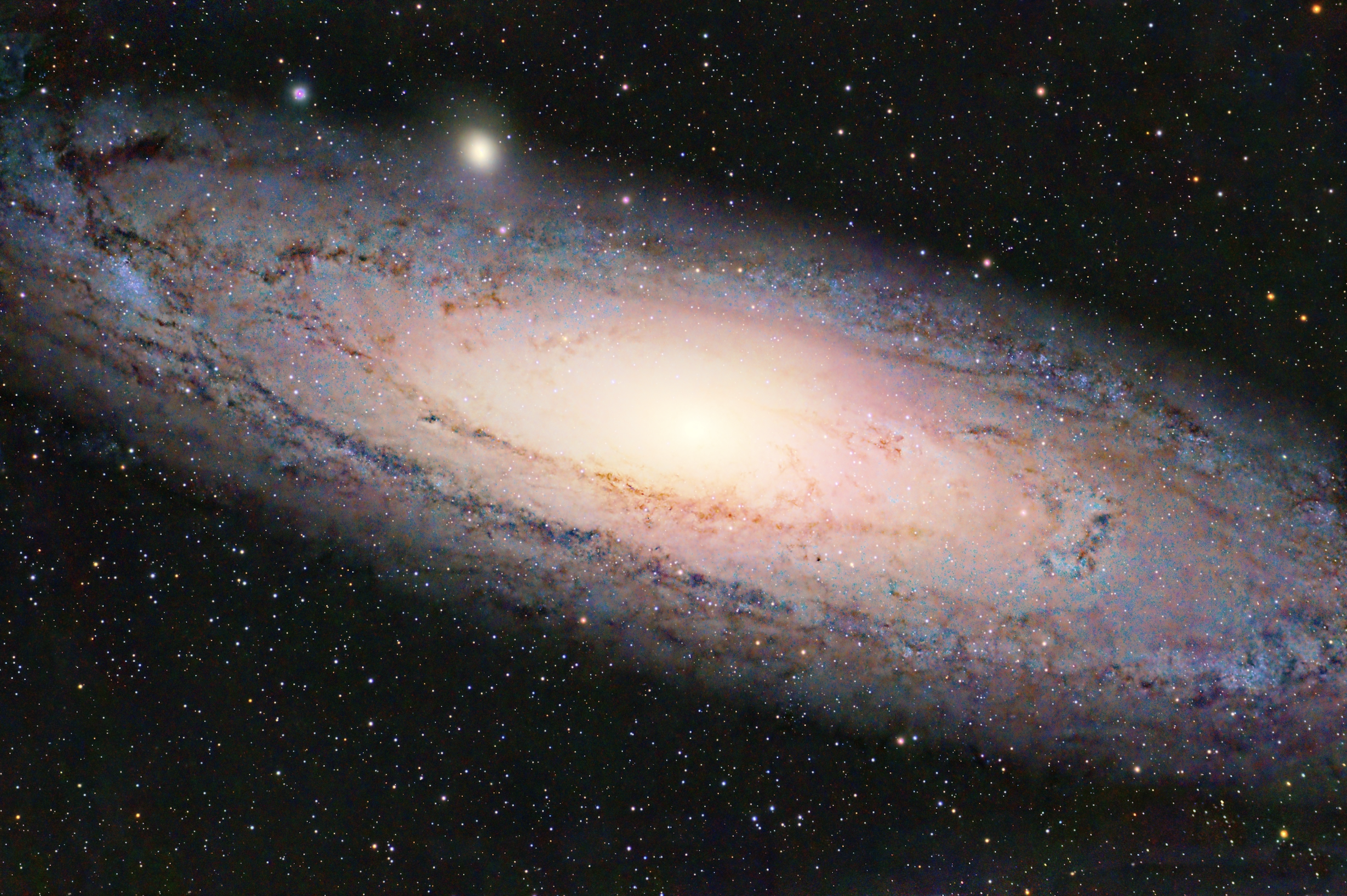 M31